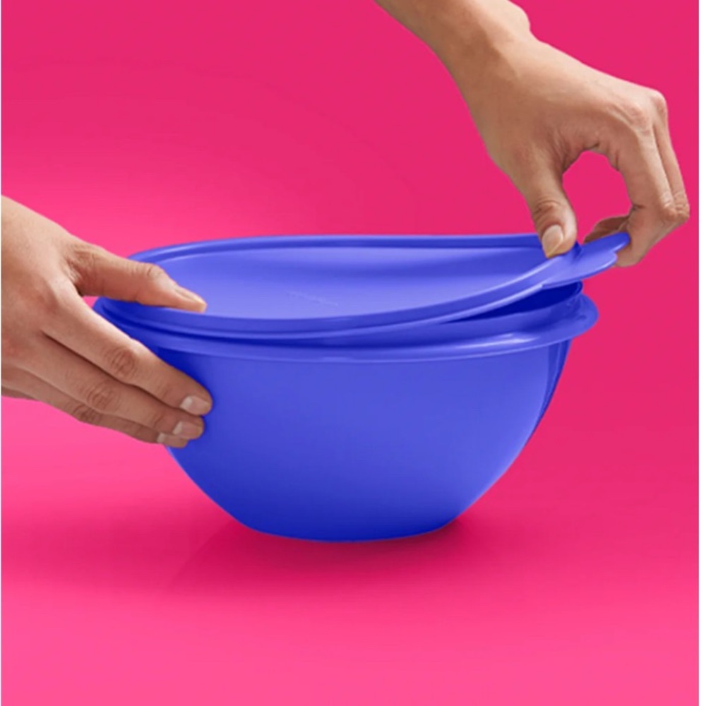 Blue Plastic Bowl with Lid 2 Liter